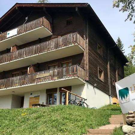 Lodge Laerchenwald Bellwald