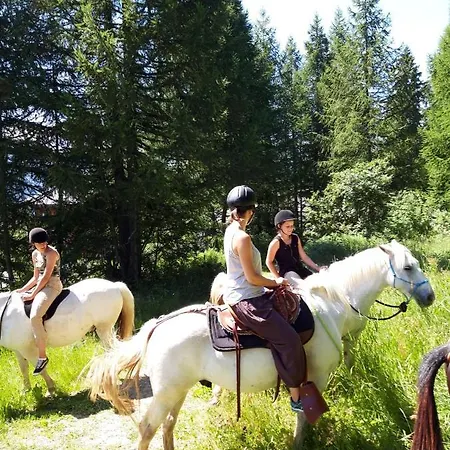 Chata Laerchenwald Bellwald