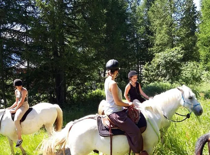 롯지 Laerchenwald 벨발트