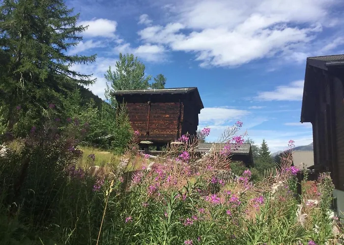 Laerchenwald Lodge Bellwald