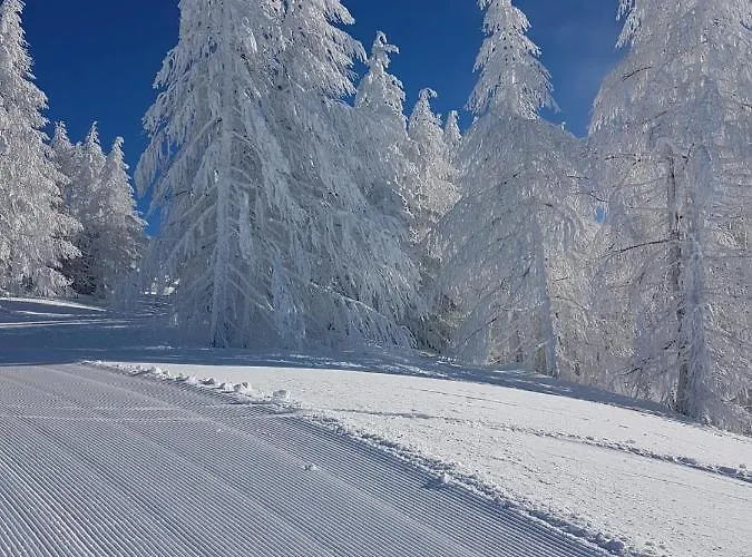 Lodge Laerchenwald Bellwald