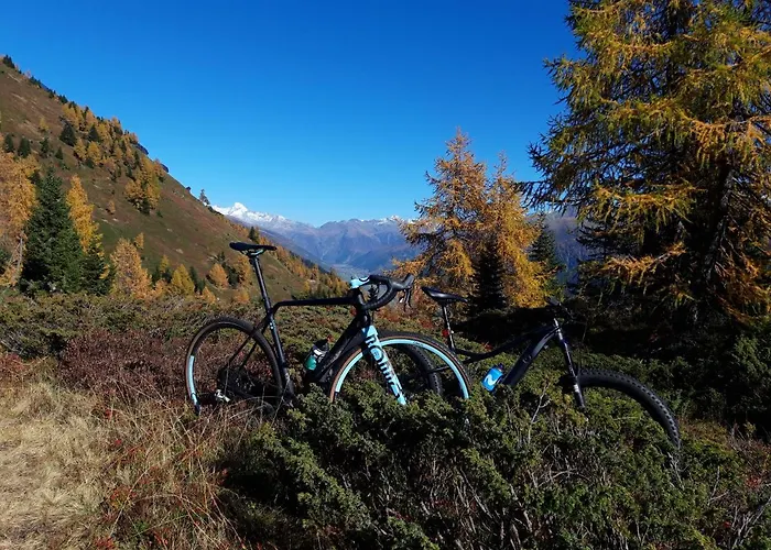 Laerchenwald Lodge Bellwald