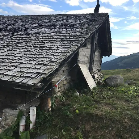 Laerchenwald Alojamento de Turismo Selvagem Bellwald