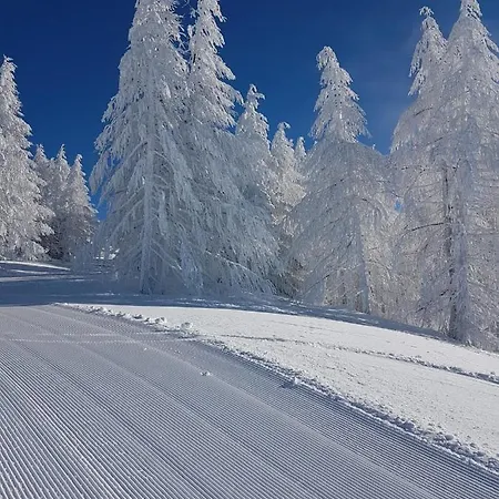 Alojamento de Turismo Selvagem Laerchenwald Bellwald