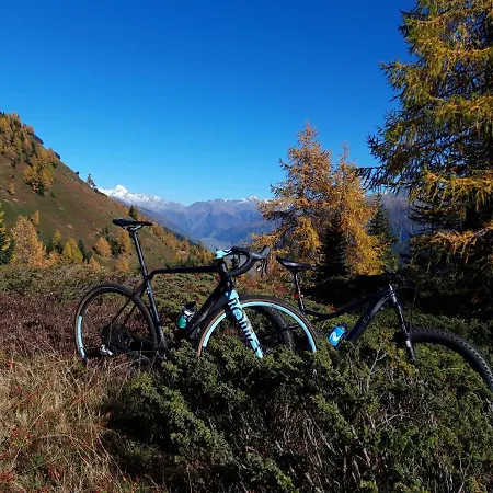 Laerchenwald Alojamento de Turismo Selvagem Bellwald