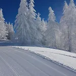 Lodge Laerchenwald Bellwald