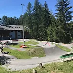 Laerchenwald Lodge Bellwald
